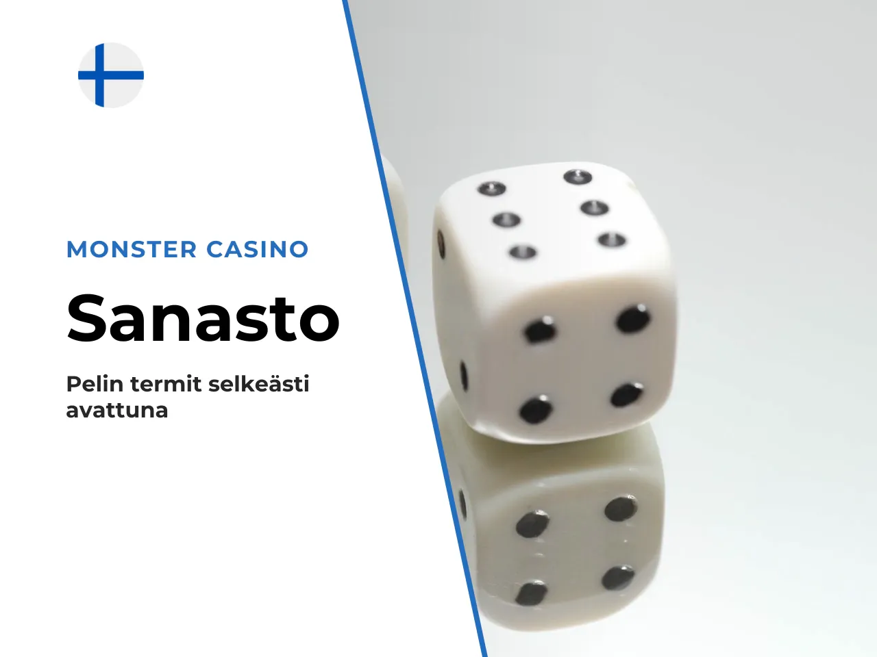 Sanasto pelin termit selkokielellä